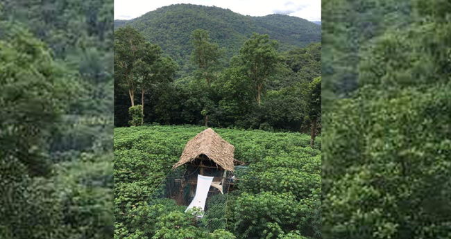 ആ​രാ​ണ് പാ​ഠം പ​ഠി​ക്കേ​ണ്ട​ത്, കു​ടി​യേ​റ്റ ക​ർ​ഷ​ക​രോ?